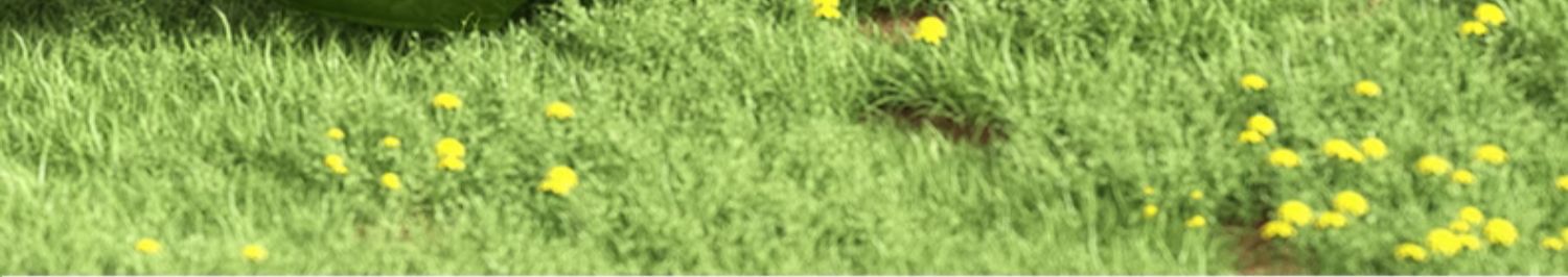 O1CN01Ev6yP629uDquBj6aU_!!299218127